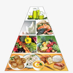 图片 食物金字塔 食物金字塔 分类 店铺 类目 其他